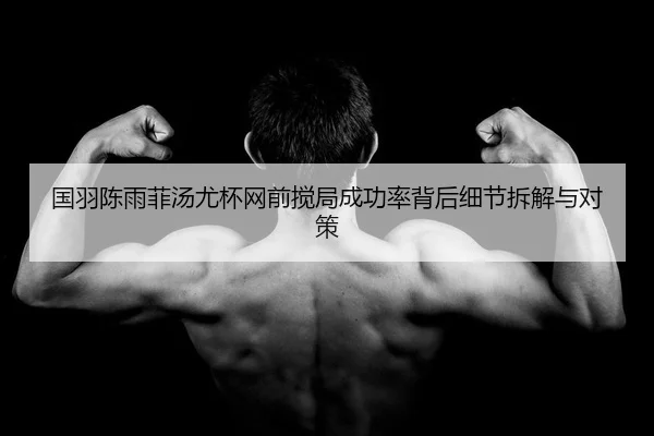 国羽陈雨菲汤尤杯网前搅局成功率背后细节拆解与对策